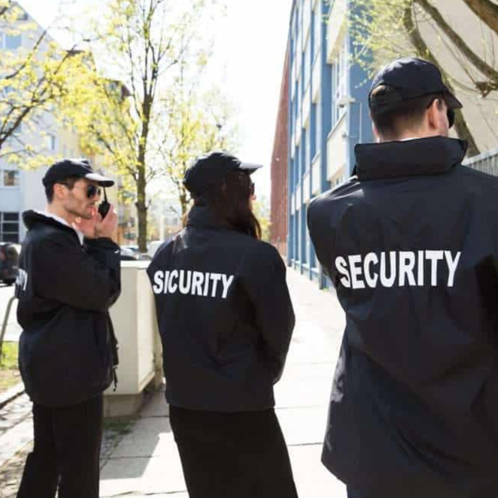 Remote Surveillance | Alerted Security